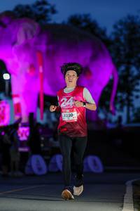 BIB: 
                            <button type="button" onclick="openModal(26529825)" class="btn btn-primary btn-sm float-right btn-popup" data-toggle="modal" data-target=".modal-high-quality">
                        <i class="fas fa-shopping-cart"></i> Add to Cart
                    </button>
                                            <button type="button" onclick="isThisMe(26529825, true)" class="btn btn-success btn-sm float-right btn-popup btn-isme hidden" data-toggle="tooltip" data-placement="bottom" title="นี่คือรูปของคุณใช่ไหม คลิกที่นี่เพื่อเอาเข้าอัลบั้ม">
                        <i class="fas fa-plus"></i> Add to album
                    </button>
                    <button type="button" onclick="isThisMe(26529825, false)" class="btn btn-warning btn-sm float-right btn-popup btn-isnotme hidden">
                        <i class="fas fa-ban"></i> Remove from album
                    </button>